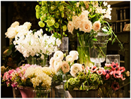 墨尔本-生意出售