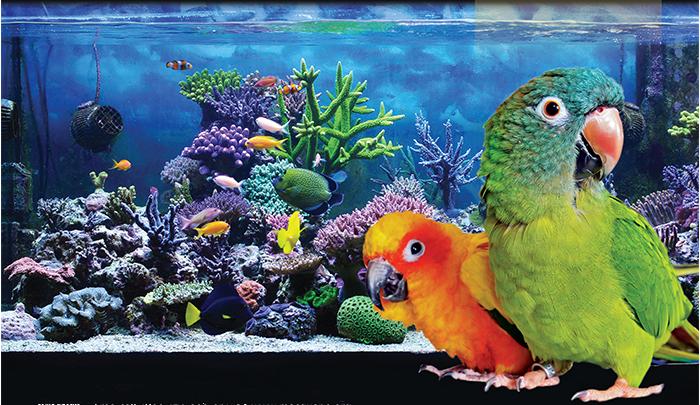 持牌宠物店出售