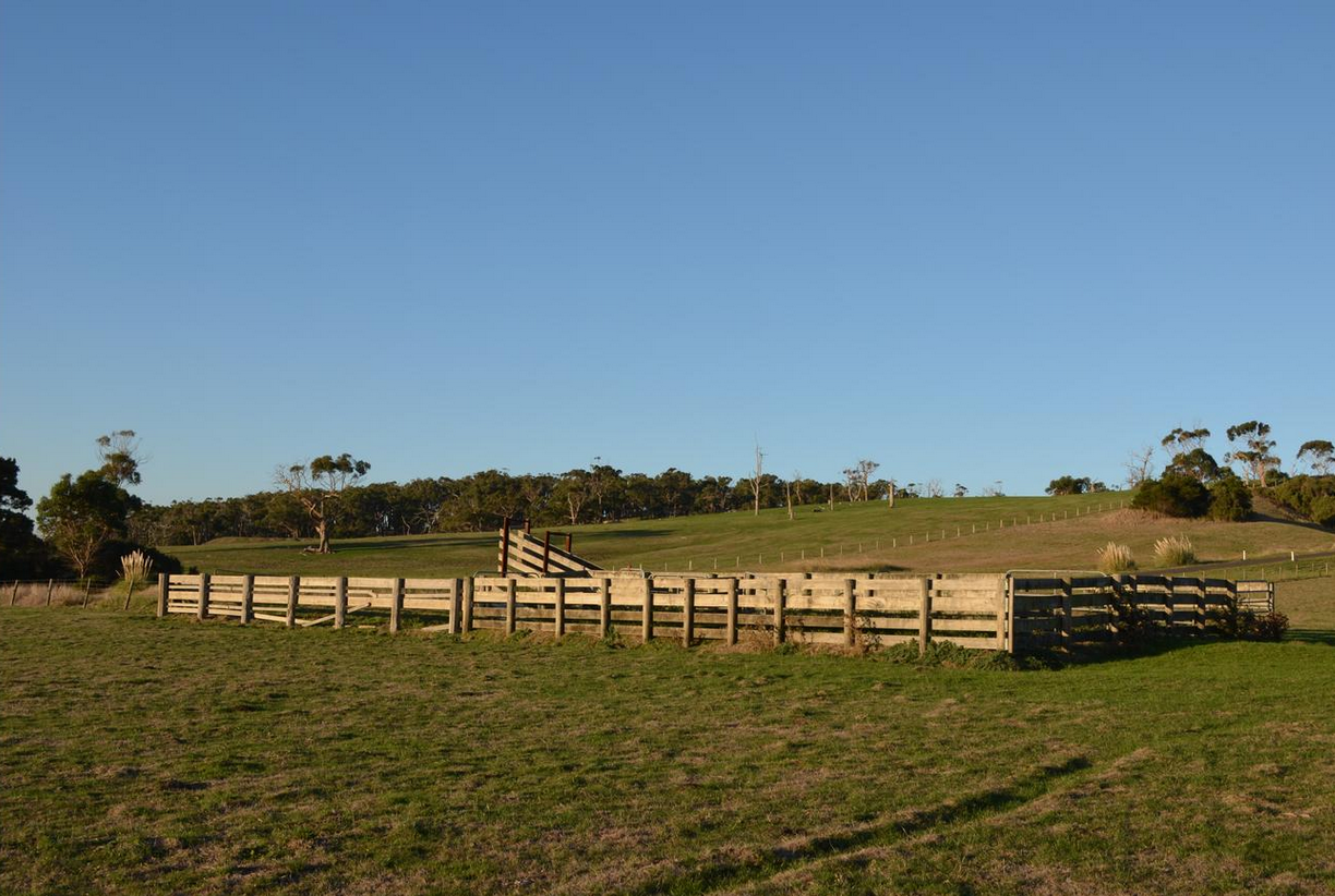 墨尔本东南距墨尔本1.5小时优质牧场出售：占地172英亩