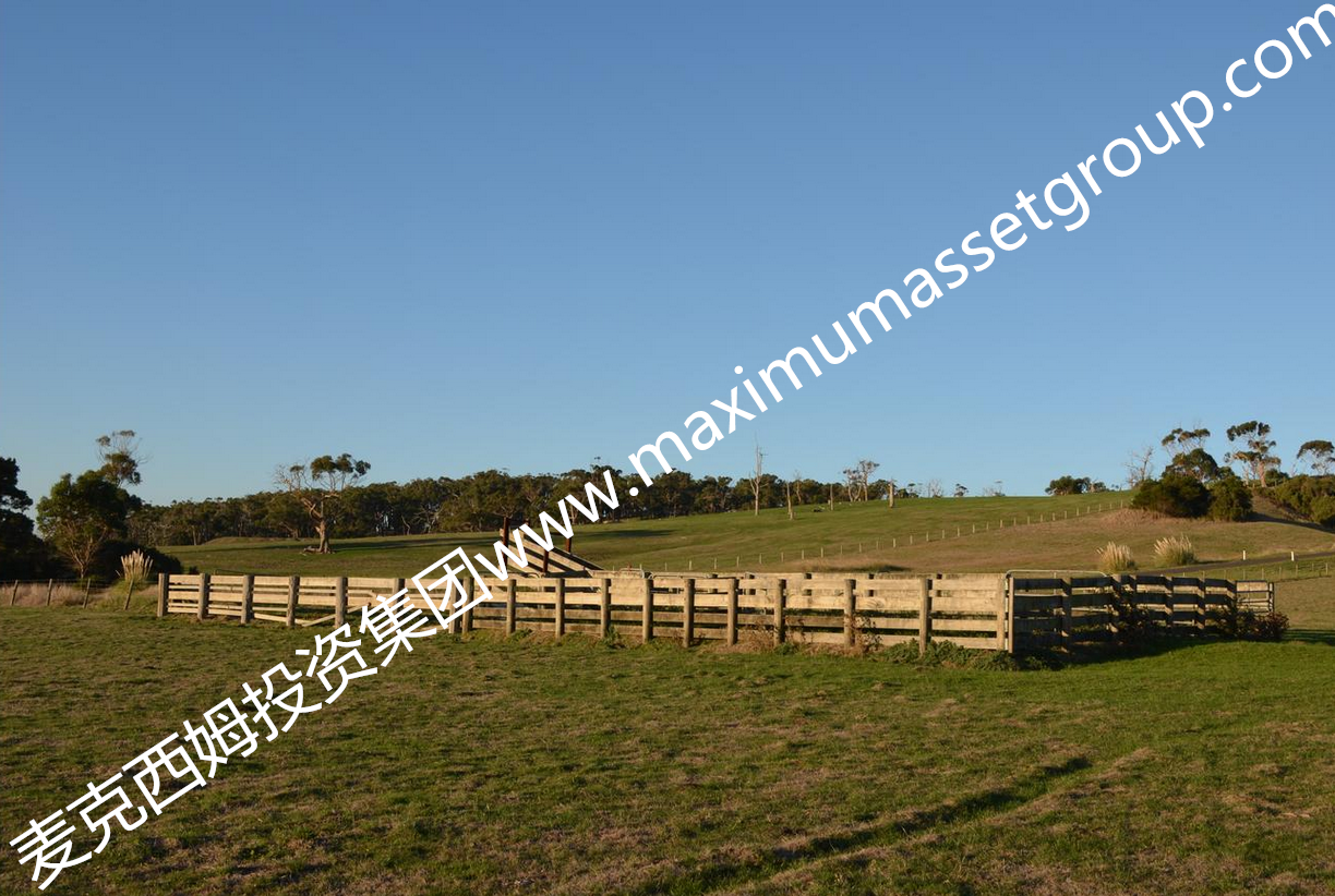 墨尔本东南距墨尔本1.5小时优质牧场出售：占地172英亩