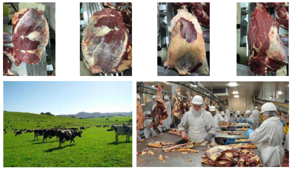有中国监督管理局认证的澳洲牛肉出口